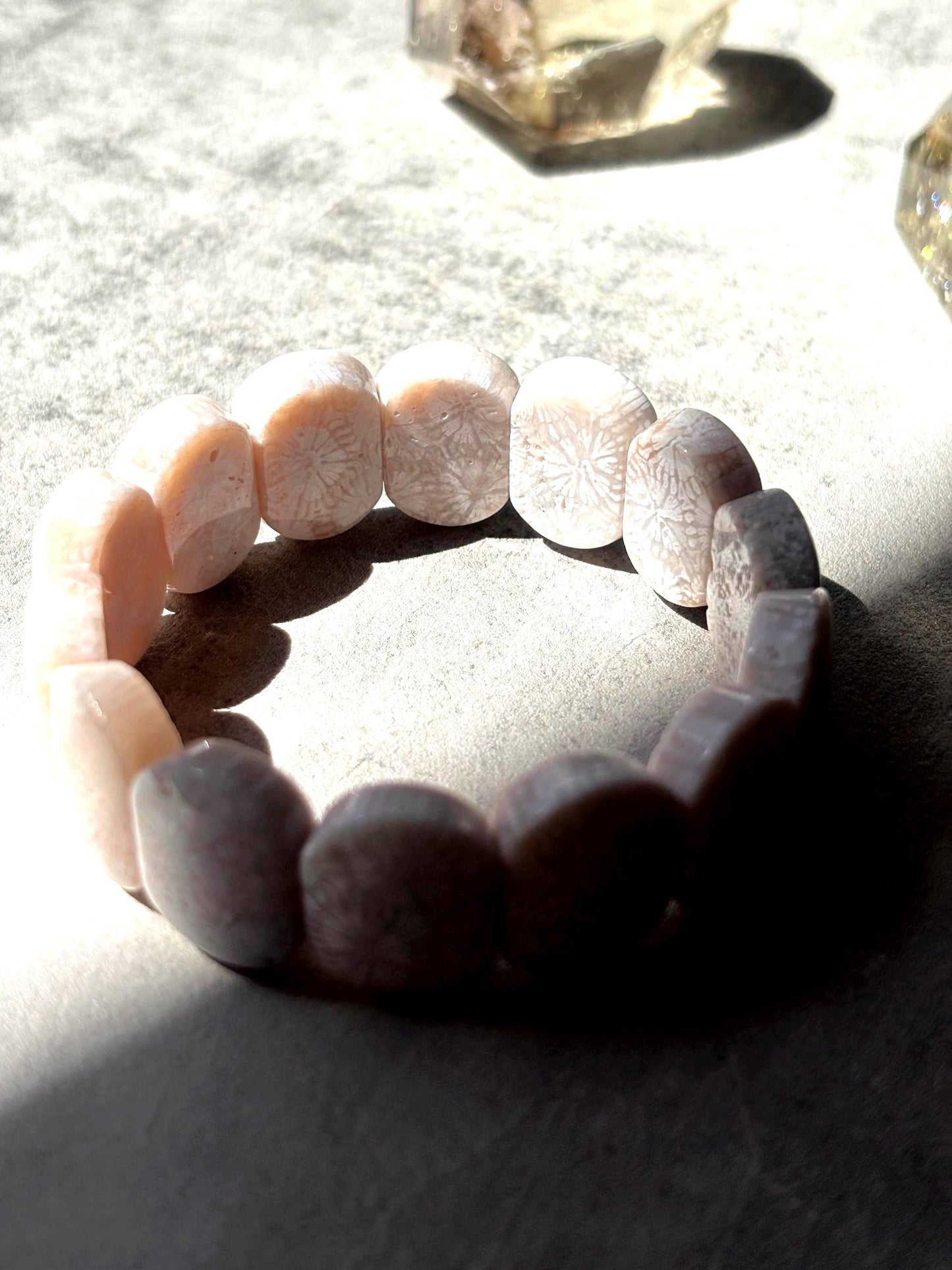 Ivory Gardenia - Natural Fossil Coral Bracelet