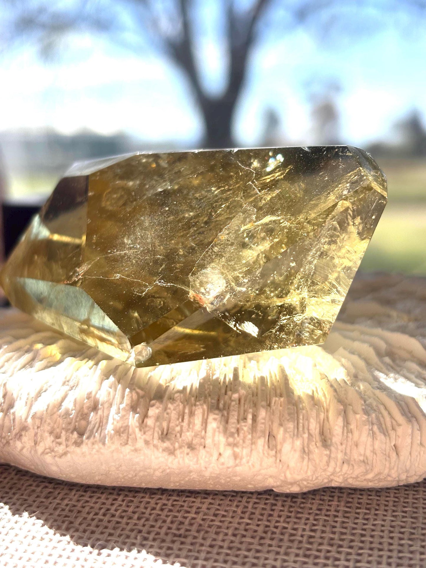 Zeus Ember - Smoky Citrine Raw Crystal