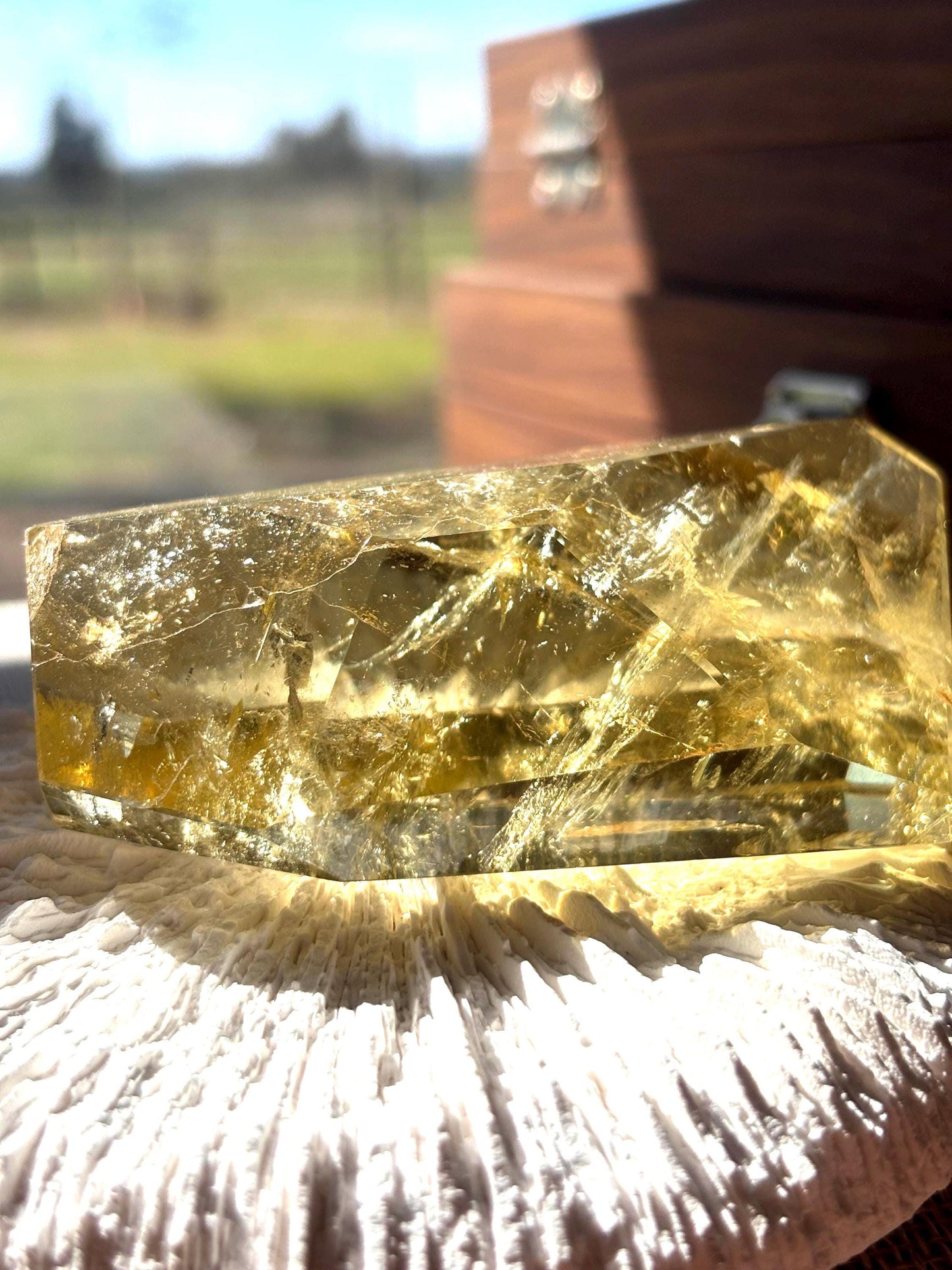 Zeus Ember - Smoky Citrine Raw Crystal
