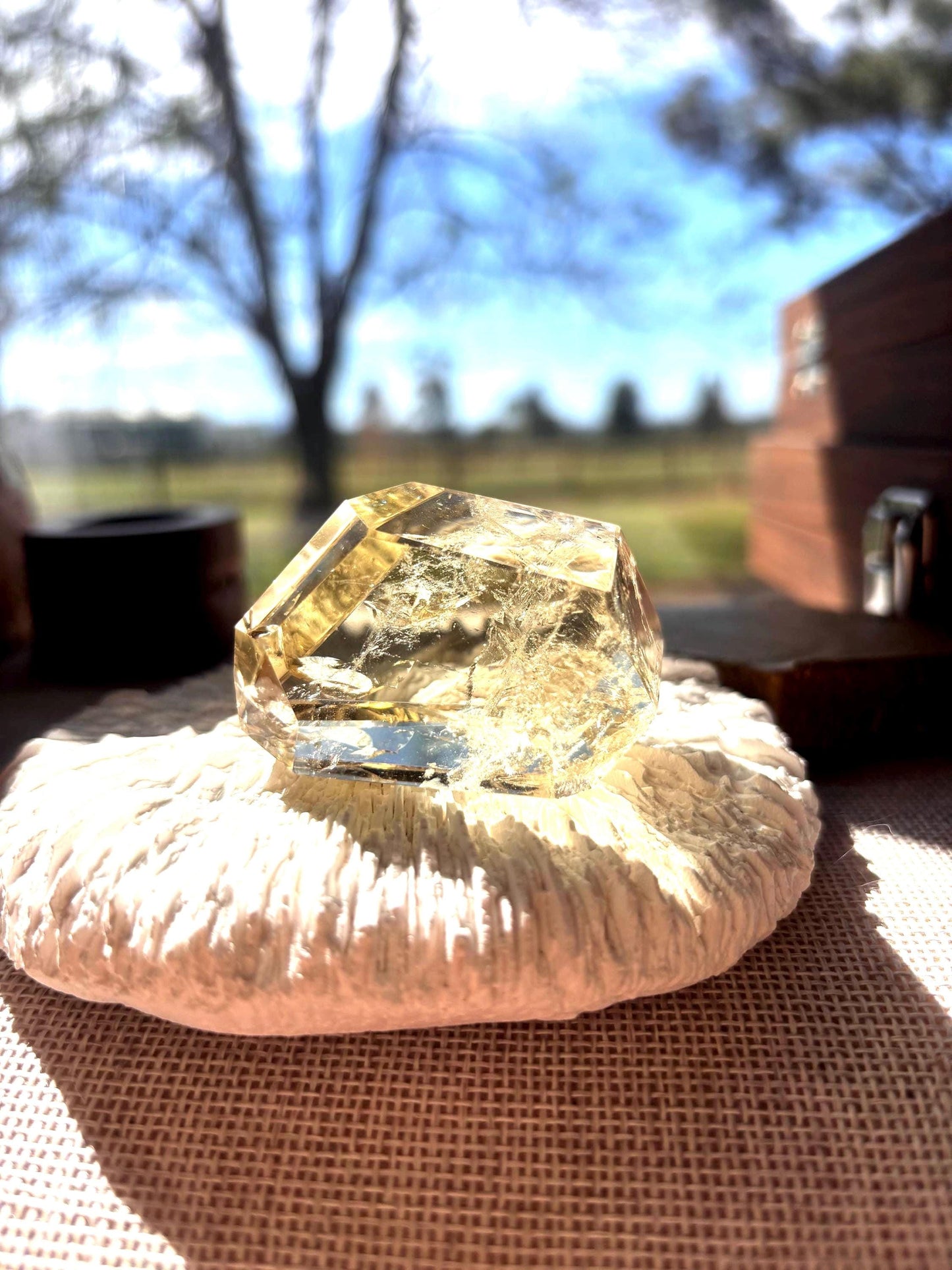 Boreas Peak - Smoky Citrine Raw Crystal