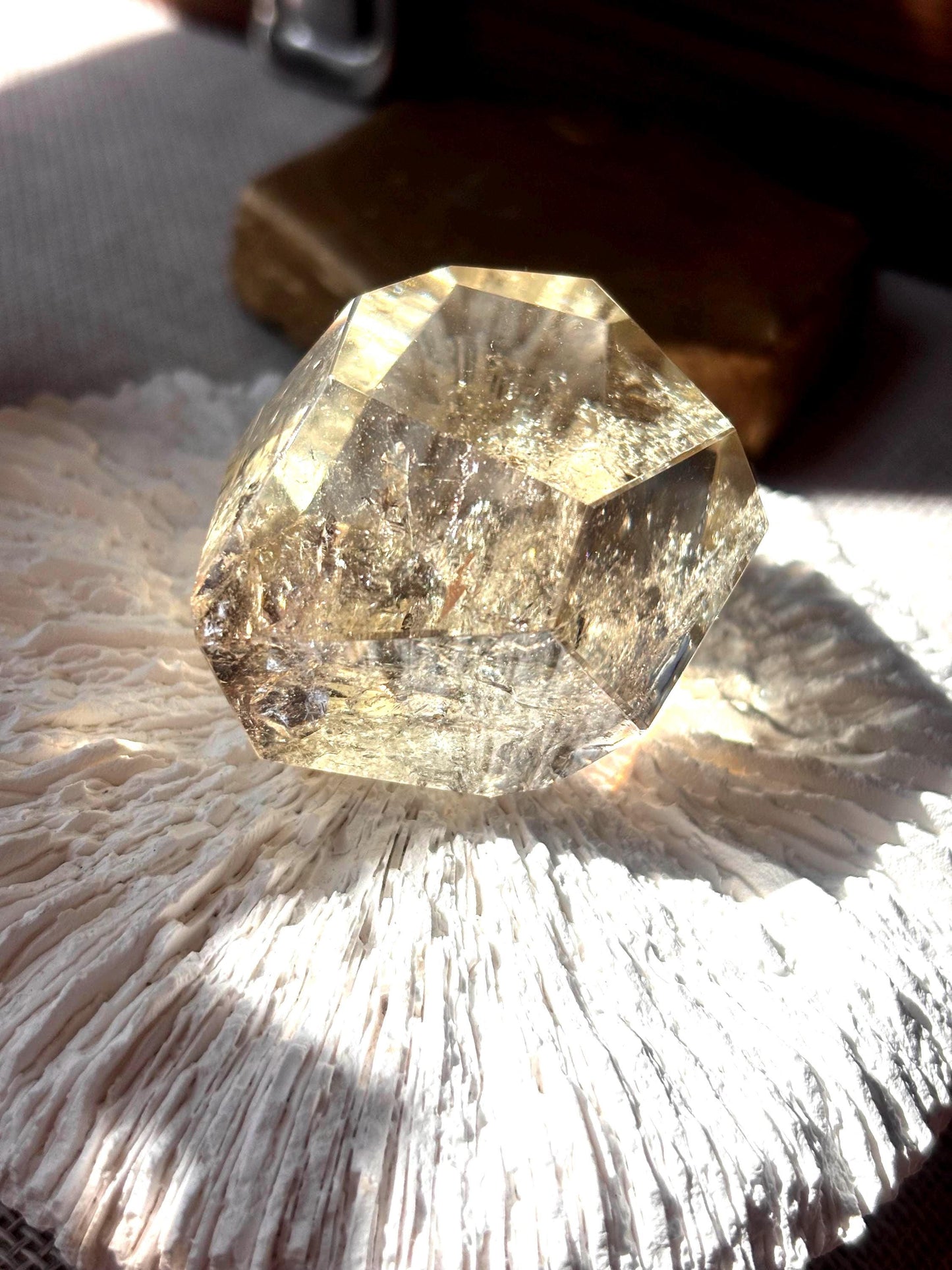 Mirrorveil - Smoky Citrine Raw Crystal