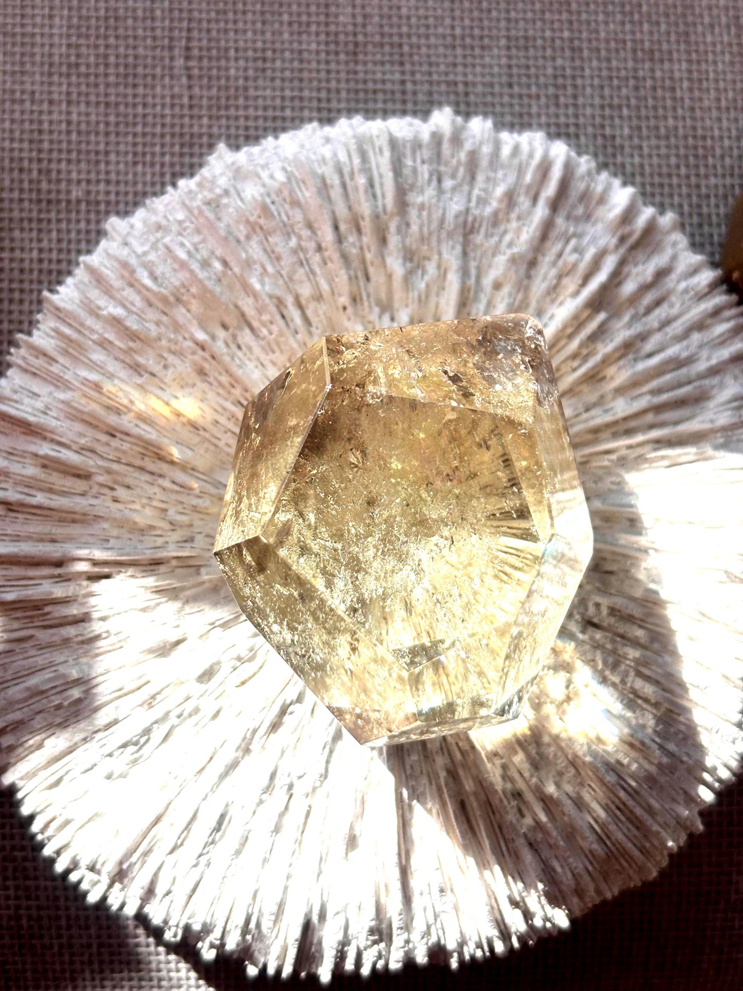 Mirrorveil - Smoky Citrine Raw Crystal