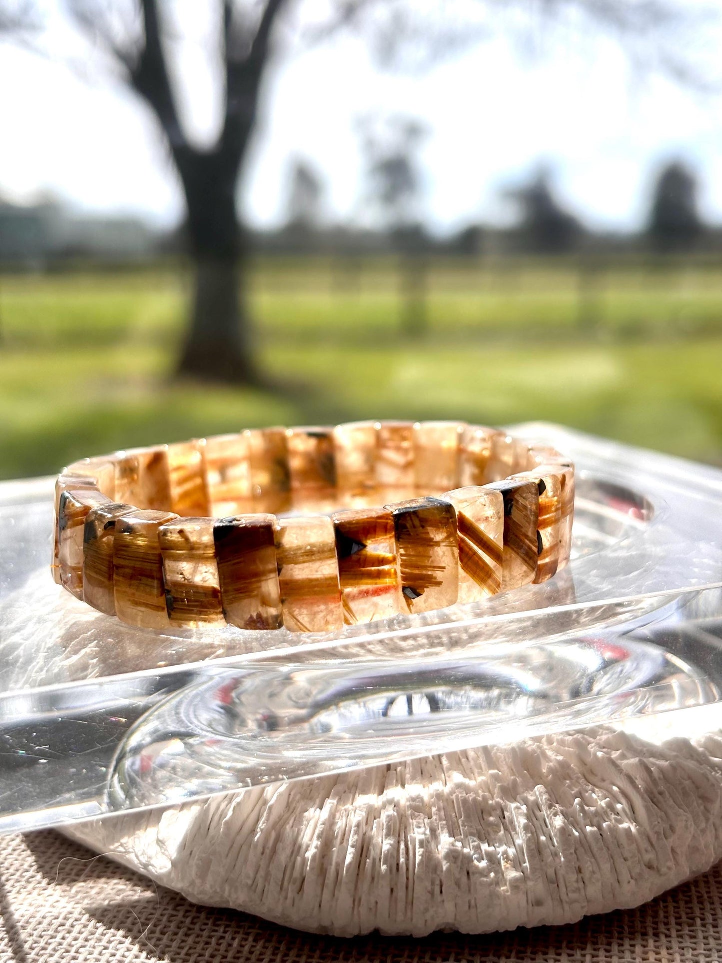 Aeralis - Swallow Titanium Gold Bracelet